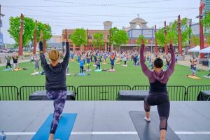 Schemes of   Ministry of Ayush (Scheme of Financial Assistance for setting up of Yoga Park)